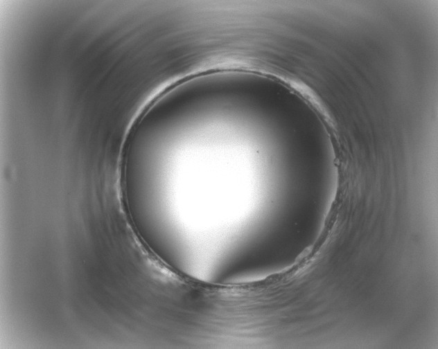 X0000066100904200603171353