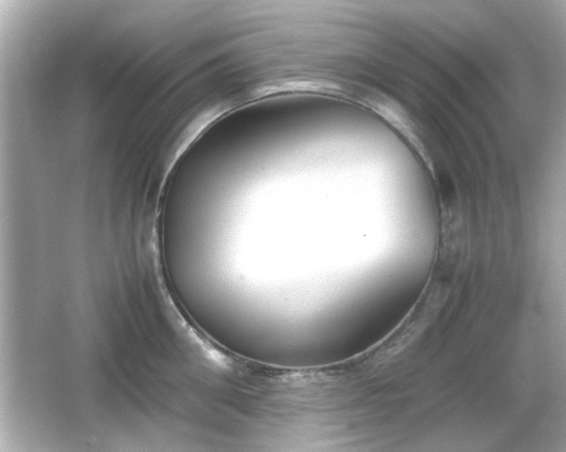 X0000066100906200603171353