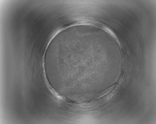 X0000066100907200603171353