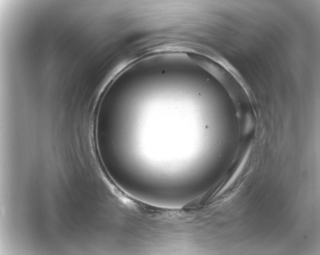 X0000066100909200603171353