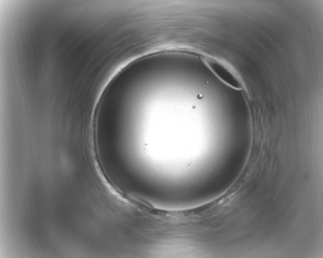 X0000066100911200603171353