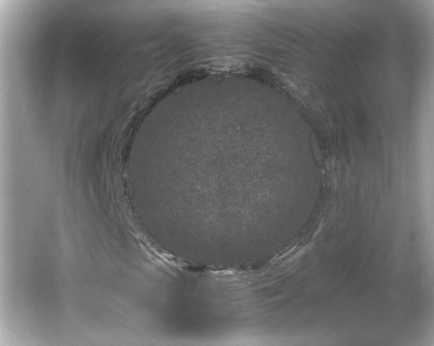 X0000066100913200603171353