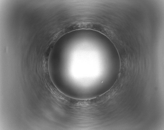 X0000066100914200603171353