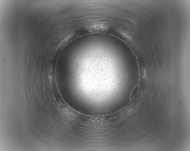 X0000066100915200603171353