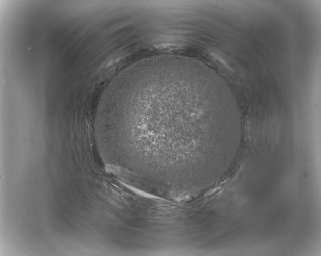 X0000066100917200603171353