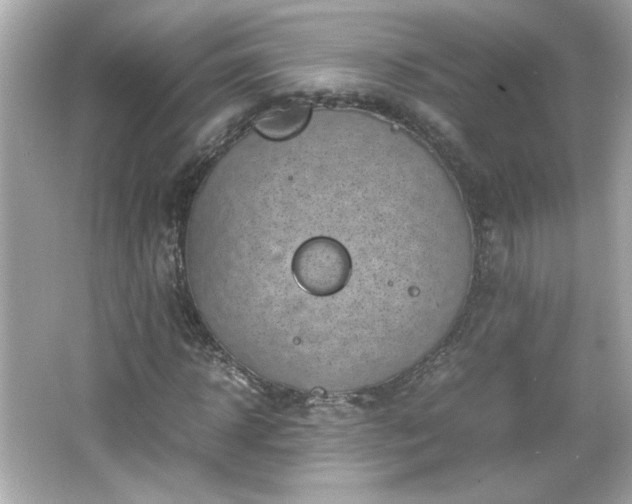 X0000066100918200603171353