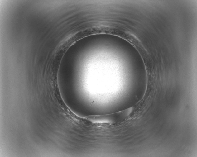 X0000066100919200603171353