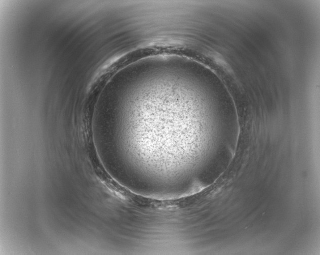 X0000066100920200603171353