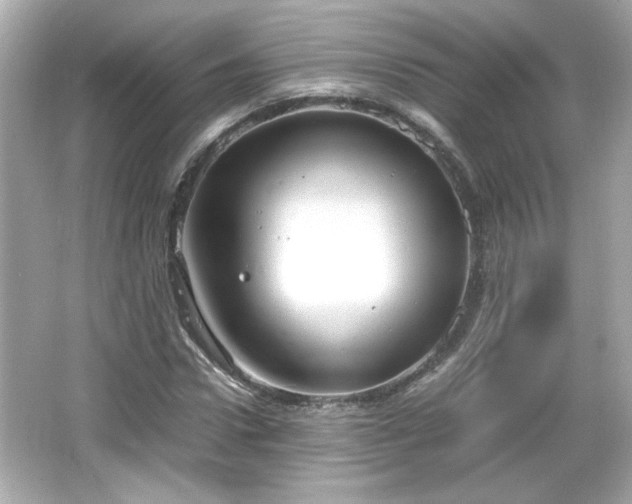 X0000066100922200603171353