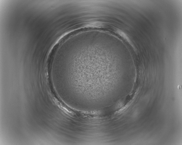 X0000066100923200603171353