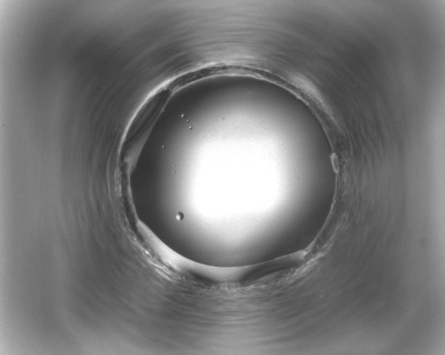 X0000066100924200603171353