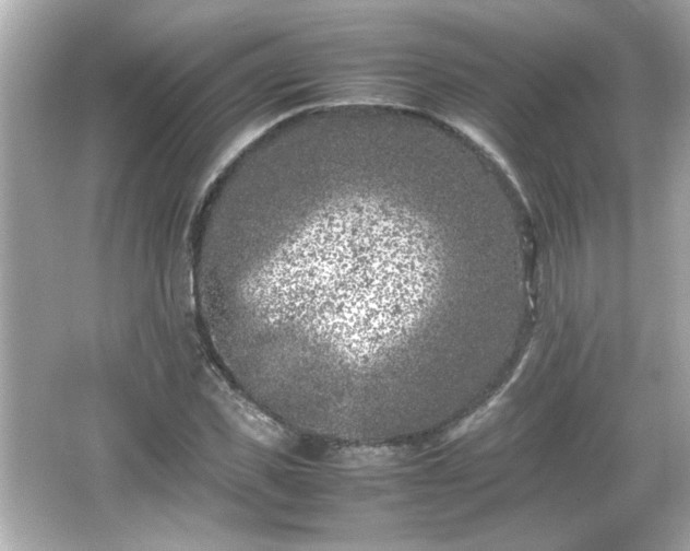 X0000066100925200603171353