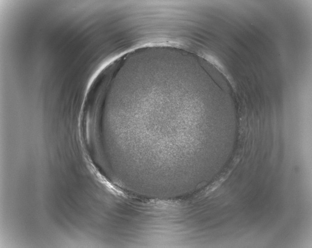 X0000066100928200603171353