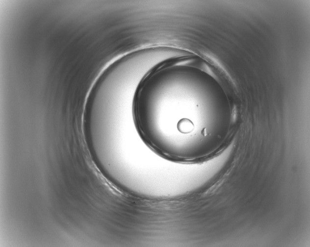 X0000066100932200603171353