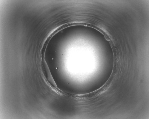 X0000066100933200603171353