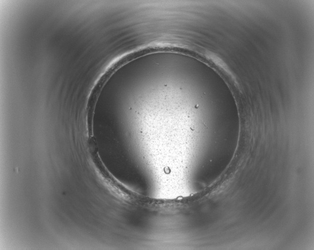 X0000066100934200603171353