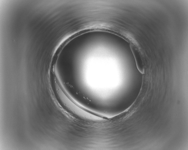 X0000066100936200603171353