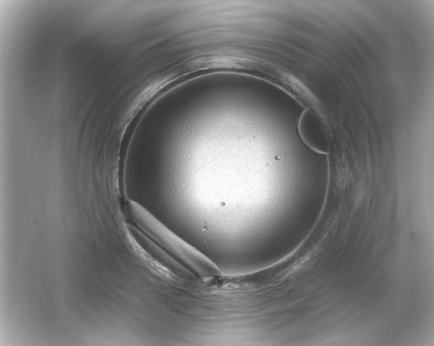 X0000066100938200603171353