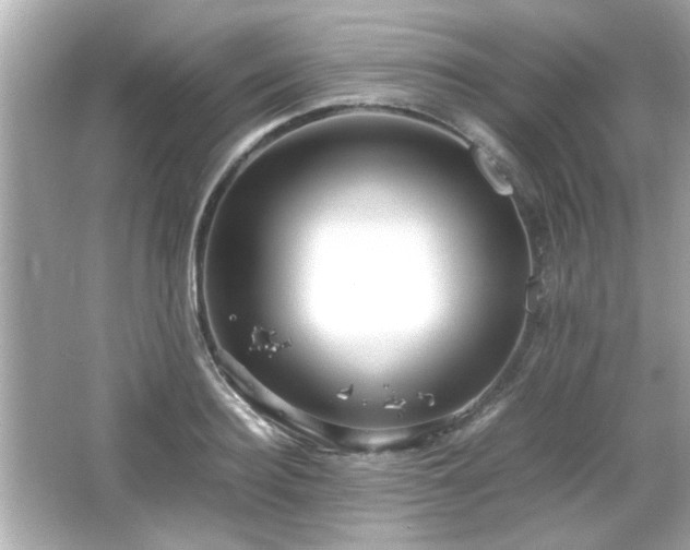 X0000066100940200603171353