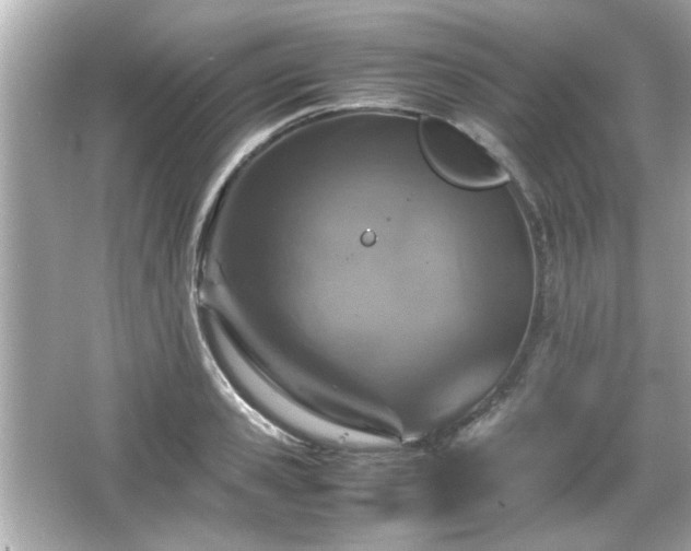 X0000066100941200603171353