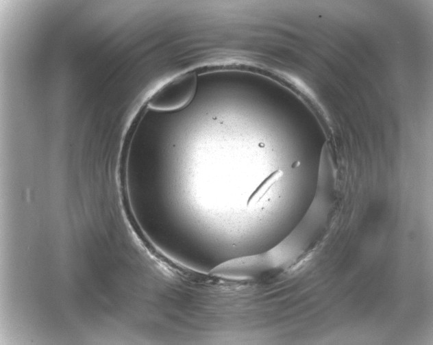 X0000066100943200603171353