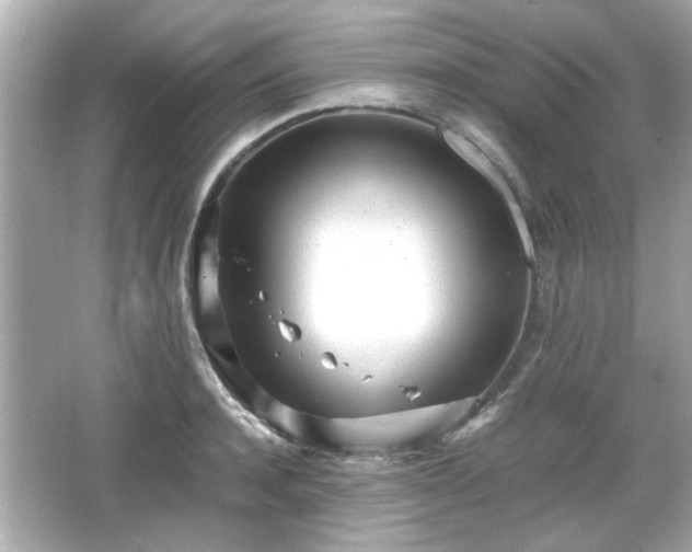 X0000066100944200603171353