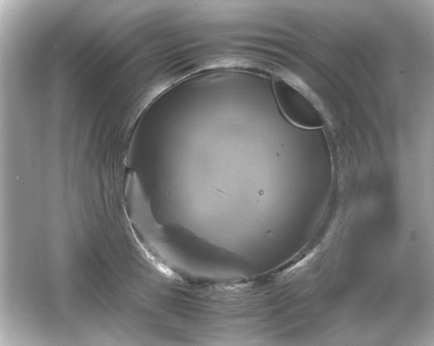 X0000066100945200603171353