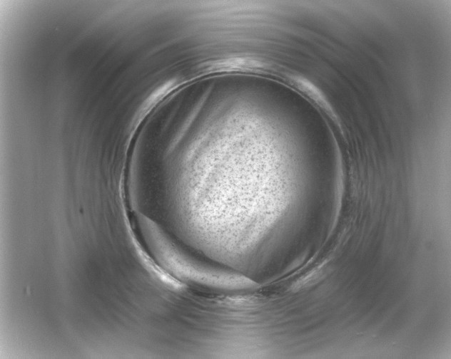 X0000066100946200603171353