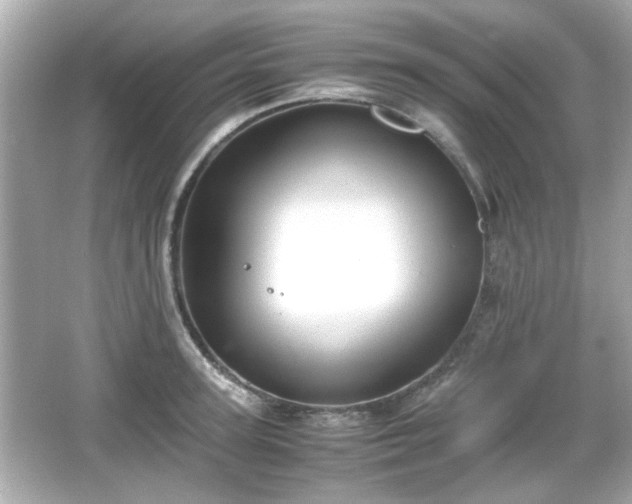 X0000066100947200603171353