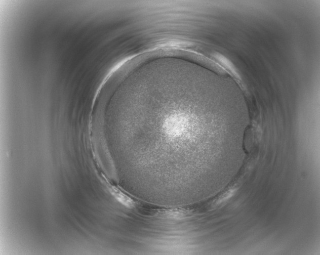 X0000066100948200603171353