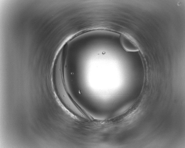 X0000066100949200603171353