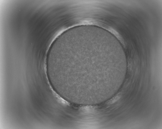 X0000066100950200603171353