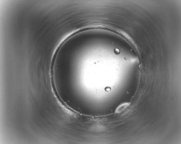 X0000066100951200603171353