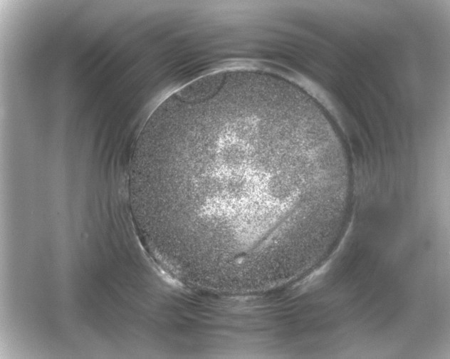 X0000066100953200603171353