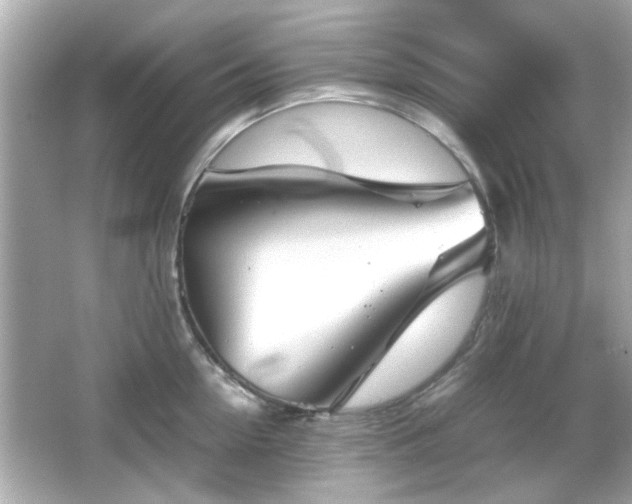 X0000066100954200603171353