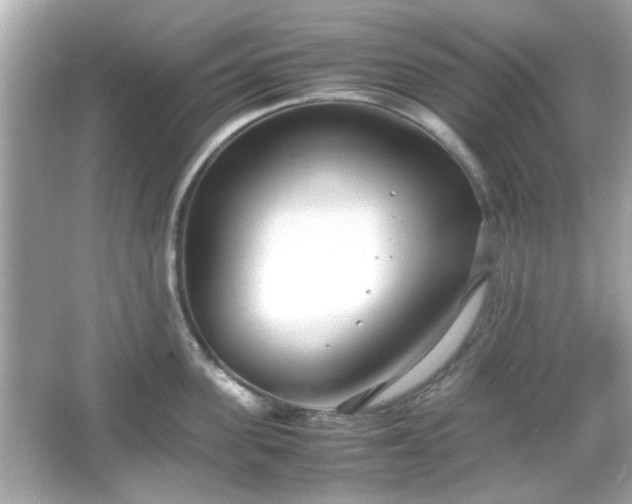 X0000066100955200603171353