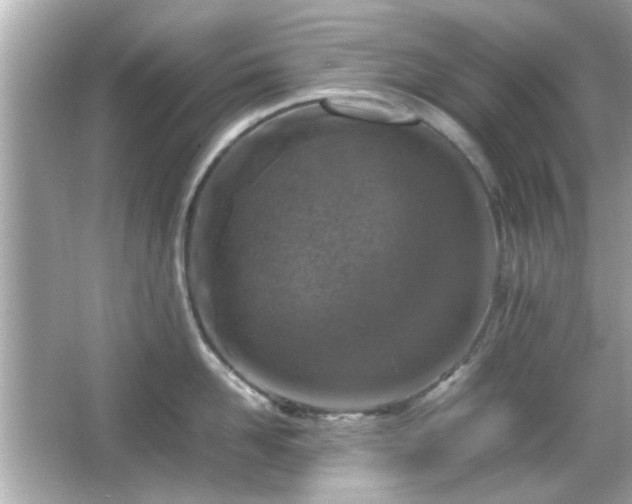 X0000066100958200603171353