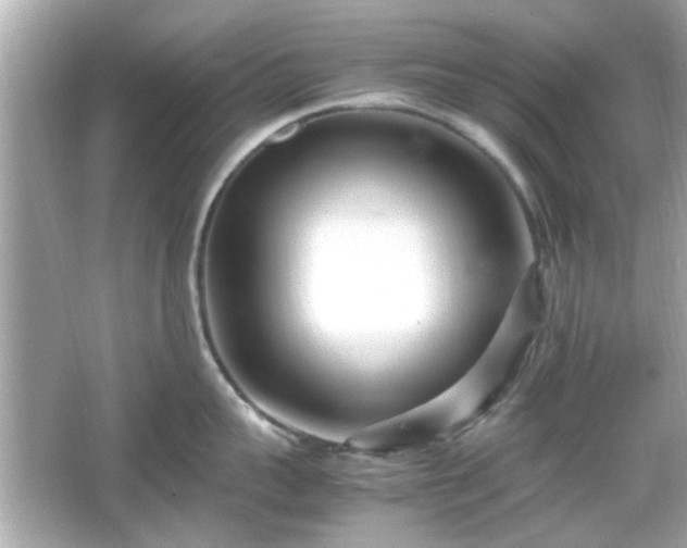 X0000066100959200603171353