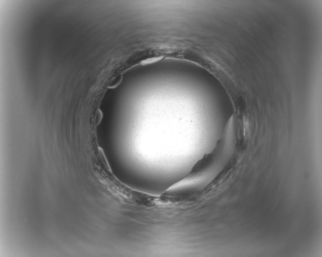 X0000066100961200603171353