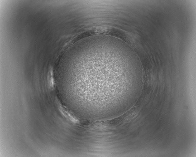 X0000066100962200603171352