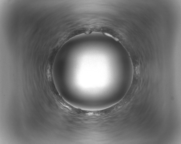 X0000066100963200603171352