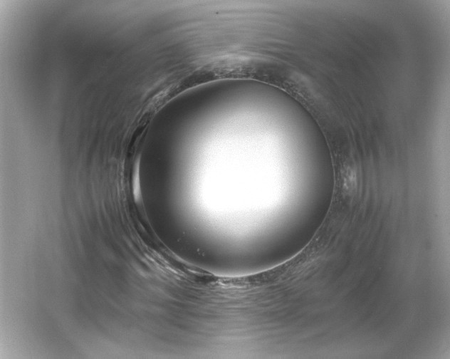 X0000066100964200603171352