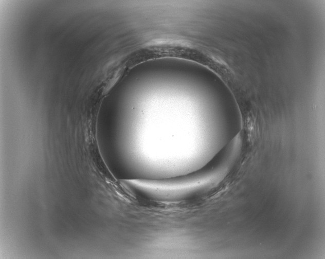 X0000066100965200603171352