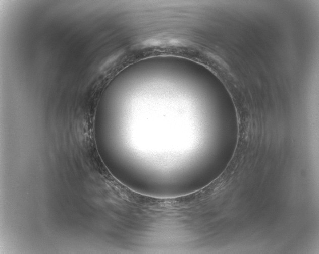 X0000066100966200603171352