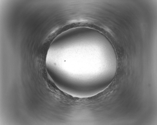 X0000066100967200603171352