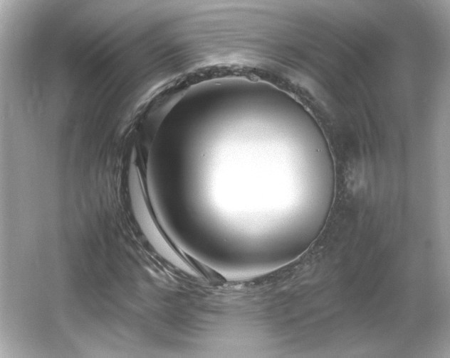 X0000066100968200603171352