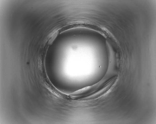 X0000066100969200603171352