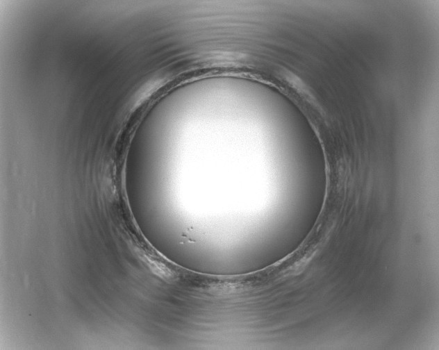 X0000066100970200603171352