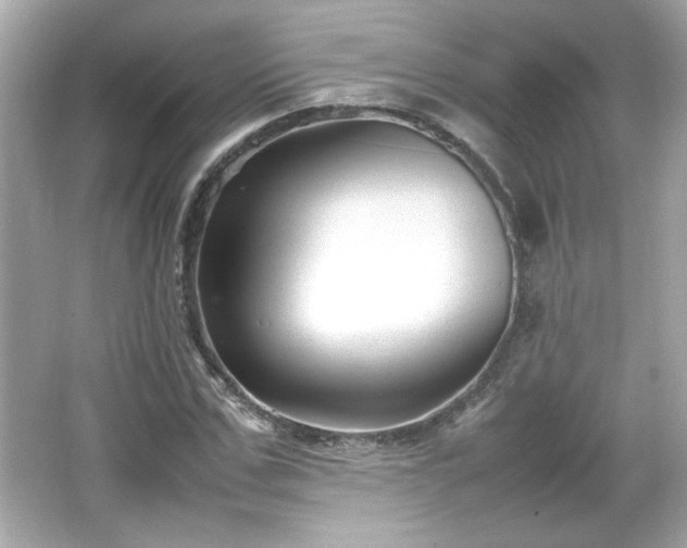 X0000066100971200603171352