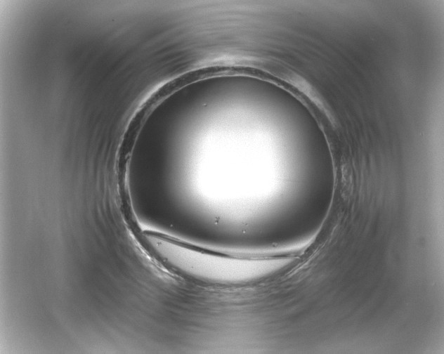 X0000066100972200603171352